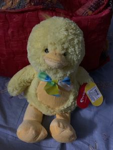 Baby Duck 💛