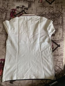 Lacoste Polo Shirt