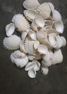 Craft Things