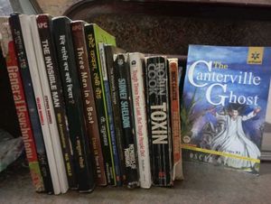 Used Books Bundle