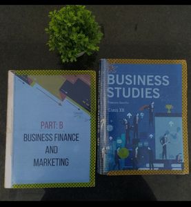 Class 12th Cbse Economics And Business Book