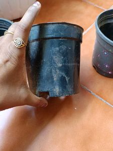 Set Of Three Garden Pots