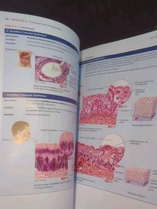 Anatomy and Physiology Textbook