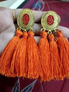 Tassel Drop Earrings🆕