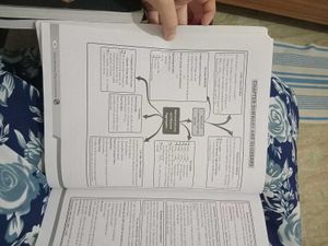 Introductory Macroeconomics Class XII