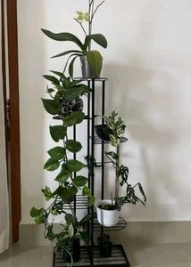 Plant Stand