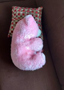 LIGHT PINK 🧸 TEDDY