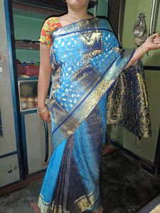 Festive Saree