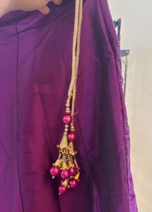 Elegant Embellished lehnga