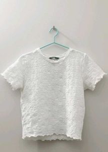 White Top