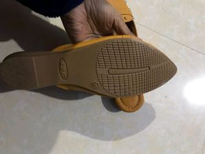Pump Shoe
