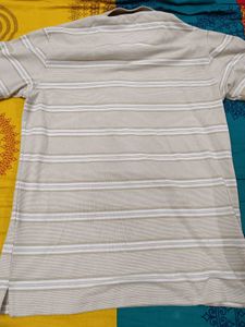 MAX Beige Striped Polo T Shirt