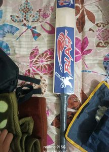 Cricket Kit - Bat, Stumps, and More!