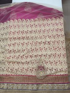 Elegant Pink &amp; Red Saree