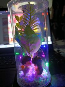Best Gift For Your Love 😘💘