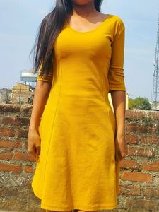 Mustard Skater Dress