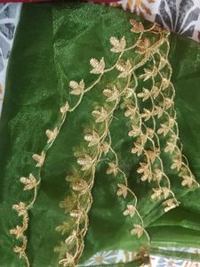 Elegant Green Dupatta
