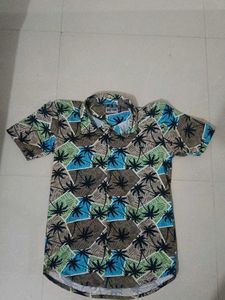 Palm Tree Print Short Sleeve Shirt