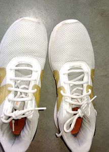 Took Other Shoes