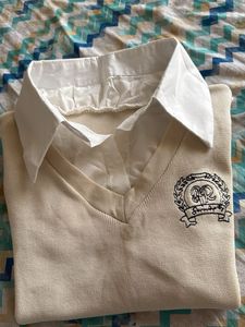 Preppy Chic Mini Dress