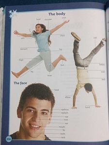 Junior Dictionary
