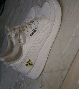 Puma shoes