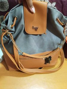 baggit Tote Bag
