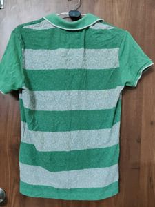 Less Used Striped Green Polo Shirt