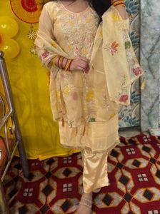 Beutiful Wedding Guest Wear Suit Set