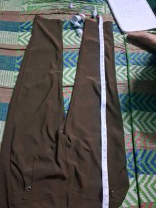 Brown Casual Pants