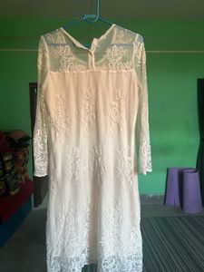 Elegant Lace Overlay Dress