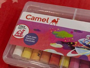 Camel Oil Pastels With 9 Stationary Combo