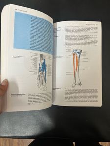 Cunninghams Manual Anatomy