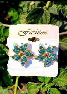 Sparkling Fashion Earrings