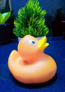 Cute Little Duck