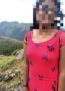 Butterfly Sheer Mesh Dress