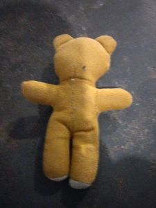Chhota Teddy Bear