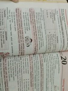 Class 6  English Grammer Book