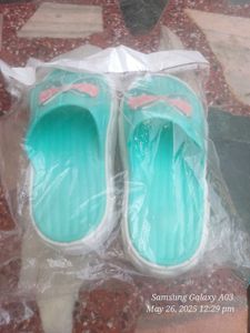 Ledis Platform Salippar