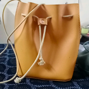 ladies handbag