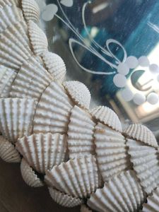 Shell 🐚 Mirror