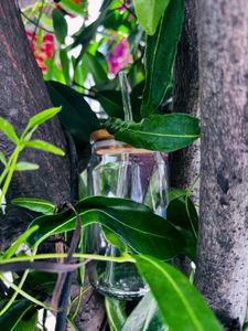 Eco-Friendly Glass Bottles with Straw Lid