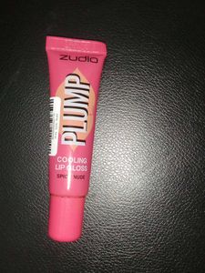 Zudio Plump Spicy Nude Lip Gloss