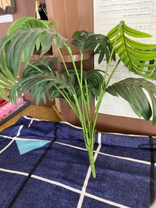 Artificial Plant