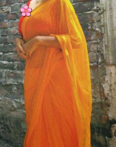 Embellished Bollywood Chiffon Saree