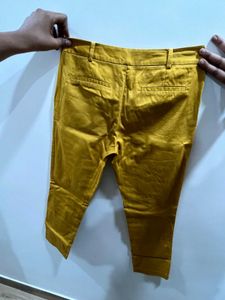 Formal And Casual Pants