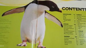 National Geographic Kids Animal Book
