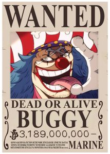 Pack Of 20 Wanted One Piece Anime Poster