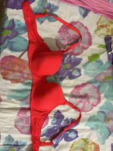Lightly Padded Wired Bra
