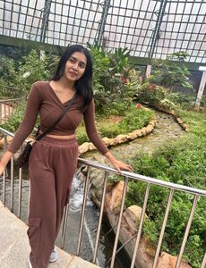 Brown V Neck Wrap Tie Crop Top